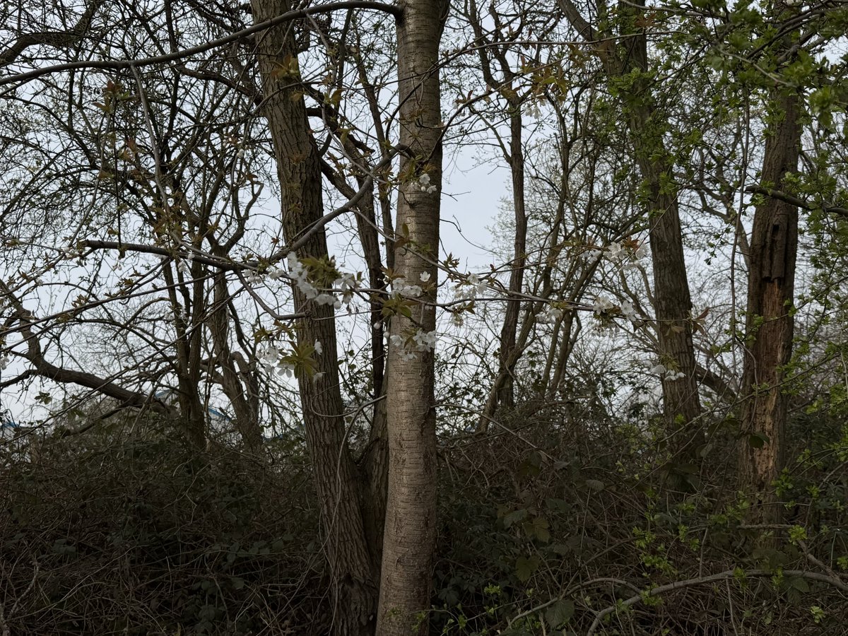 rly cool girl tweet media