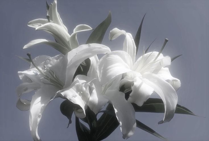 ʚ User ɞ tweet media