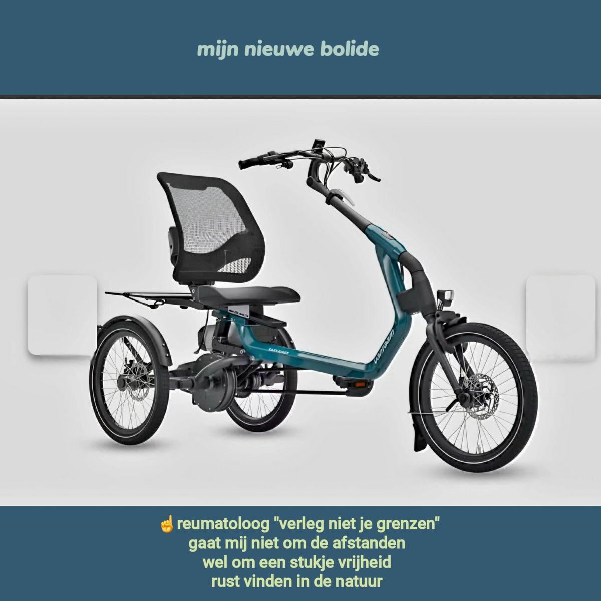 Ingrid 🌻 tweet media