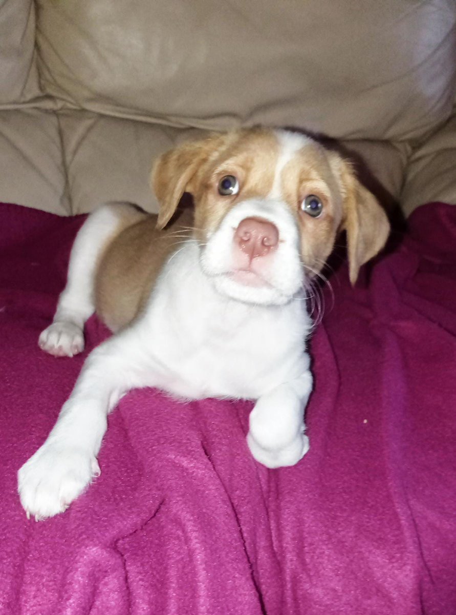 Jøse۞🇵🇸 tweet media