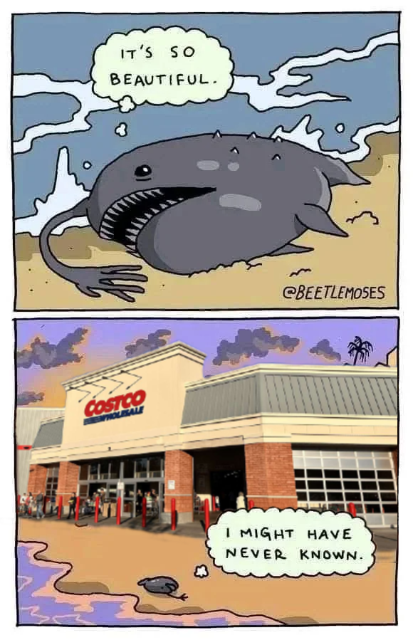 Etcetera tweet media