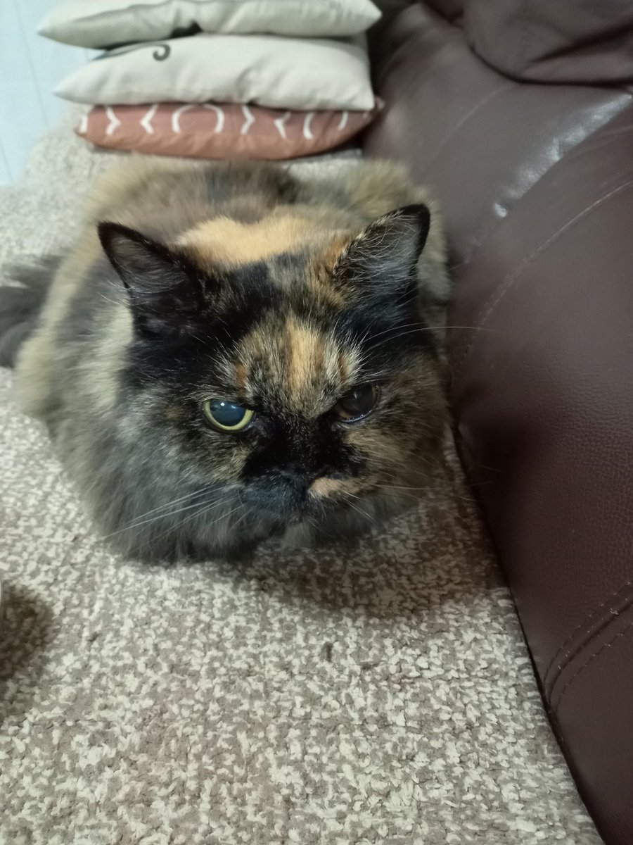 だげじー👷🌻💘　直ぐにポスト出来なくなるがなぁ😮‍💨いいねはしていくのでスンマソン🙇 tweet media