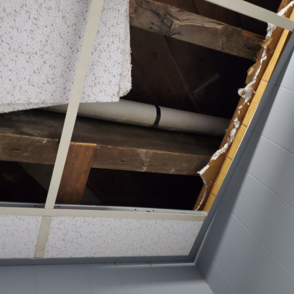 disasterblaster tweet media