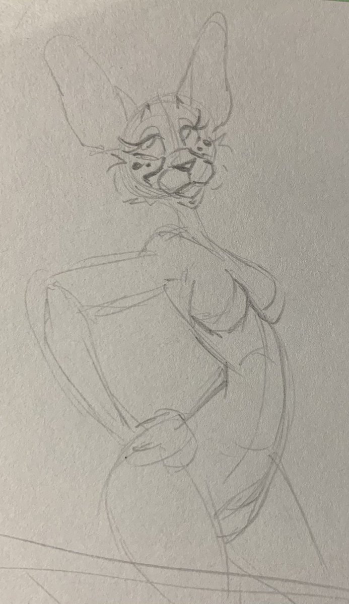 Veles (comms closed) tweet media