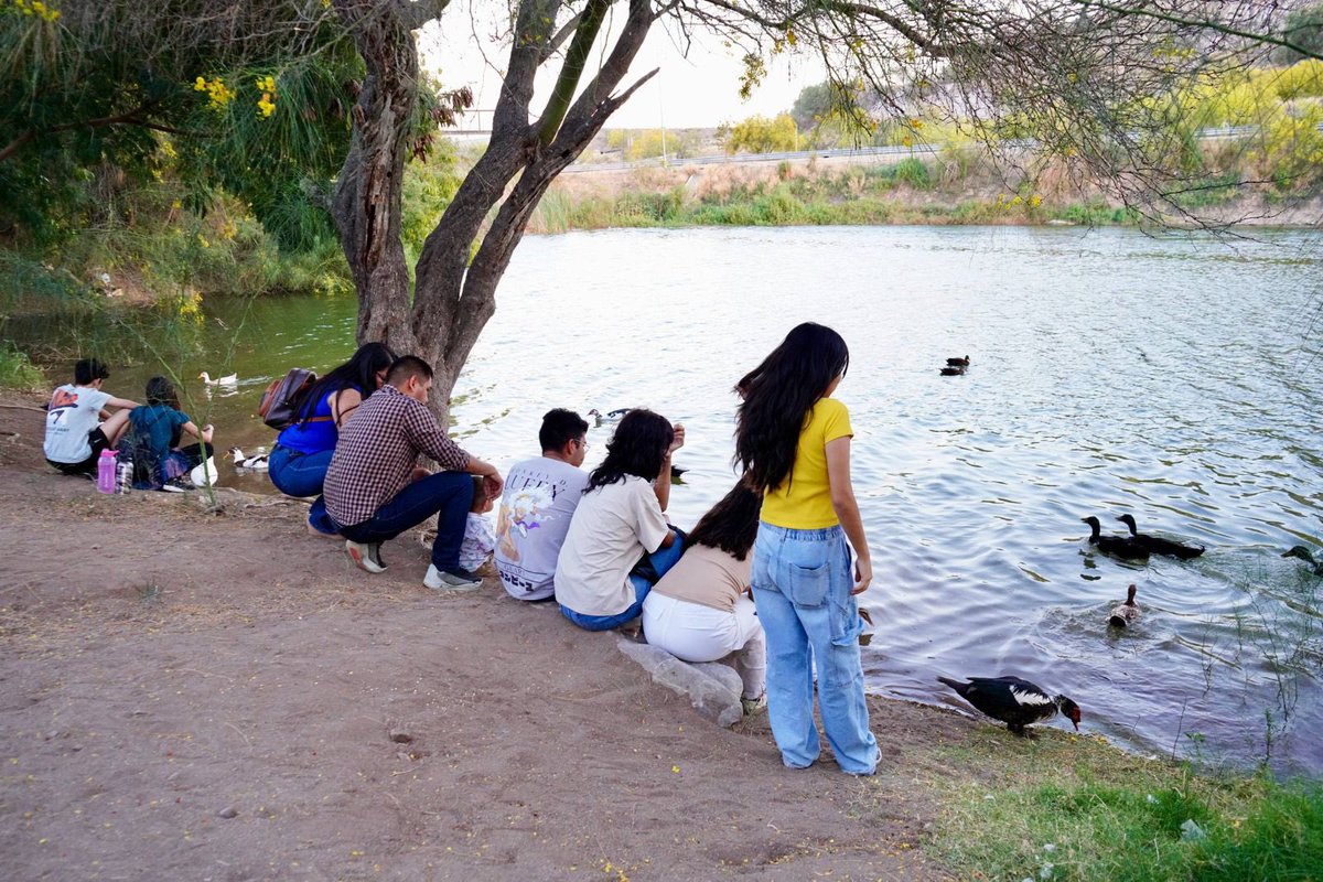 Alfonso Durazo tweet media