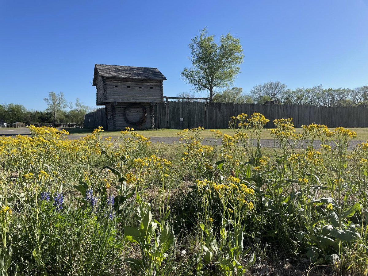 Trevor P. Wardlaw tweet media