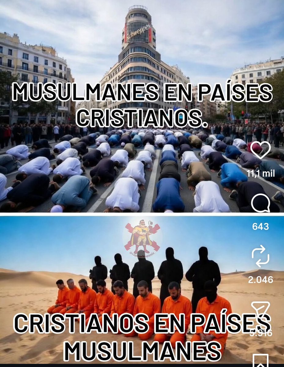 Bartholomew 🌍 tweet media