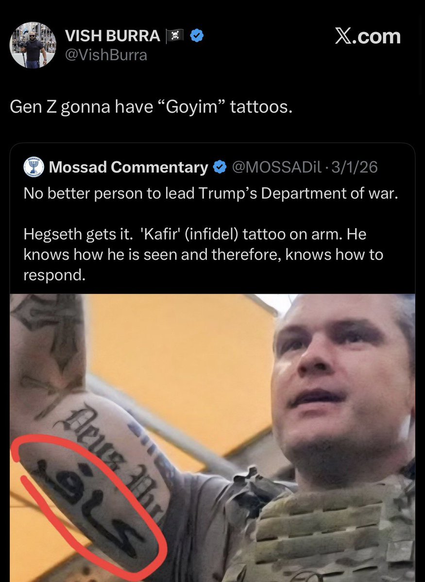 Mark Changizi tweet media