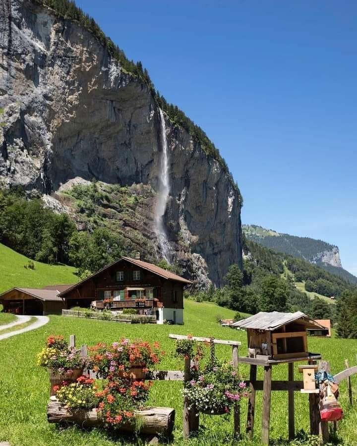 Carnivore Aurelius ©🥩 ☀️🦙 tweet media