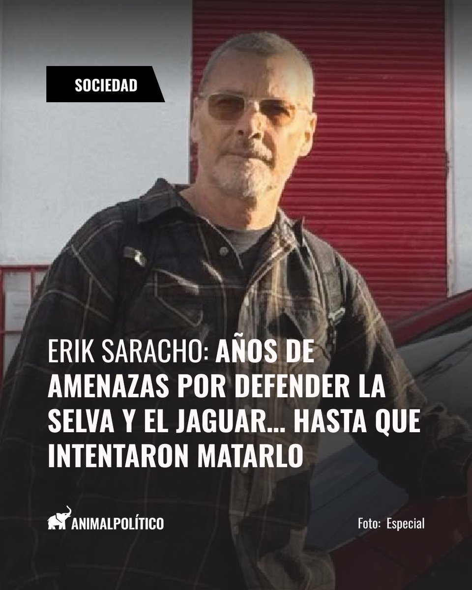 Animal Político tweet media