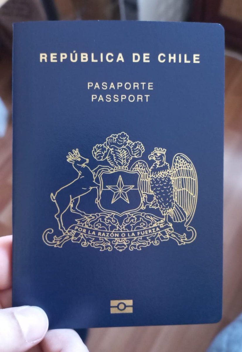 • Gaby • tweet media