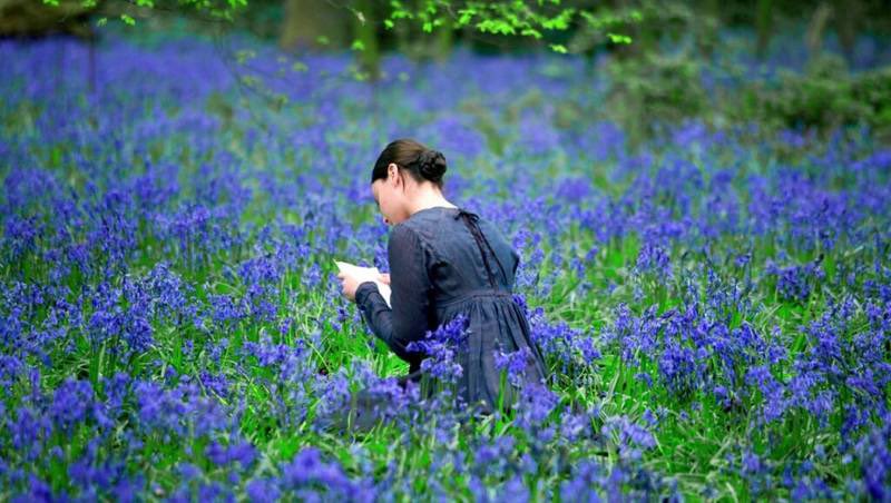 At the Cinema tweet media