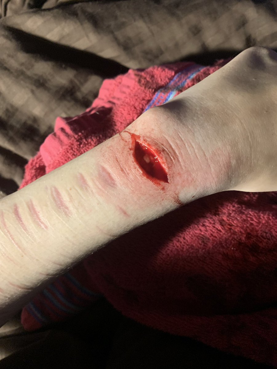 Sans of shedtwt tweet media