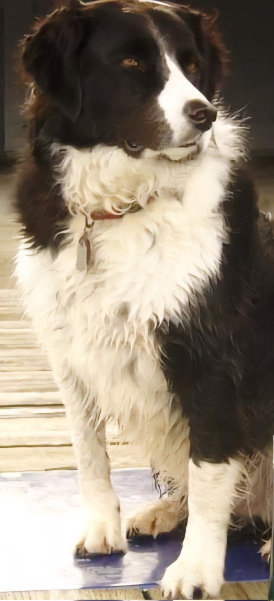 Vicki St. Clair tweet media