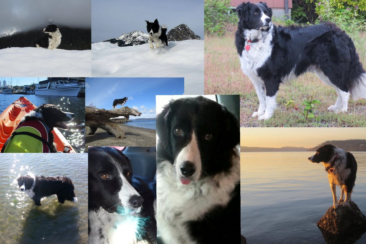 Vicki St. Clair tweet media