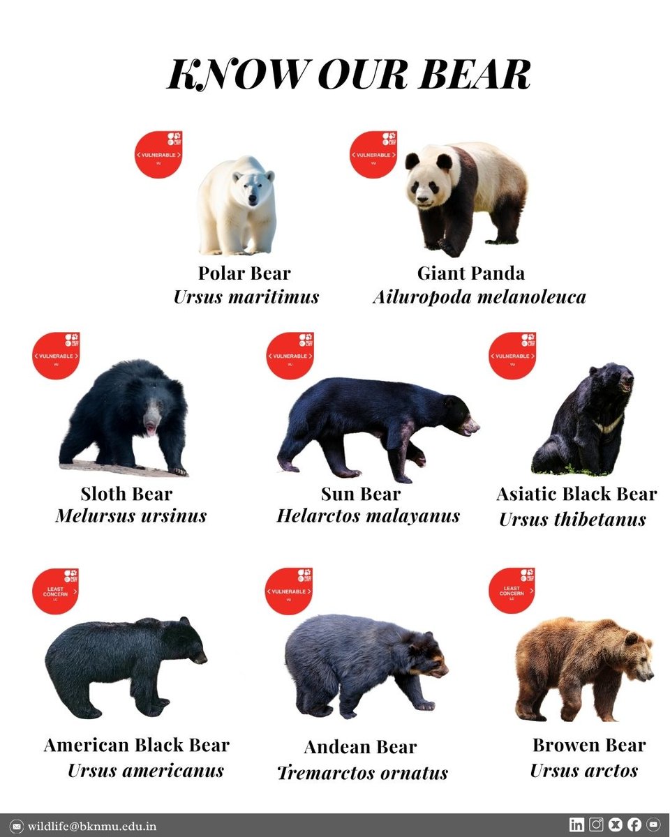 Center for Wildlife & Conservation Studies tweet media