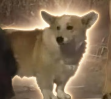 韭菜.sol tweet media