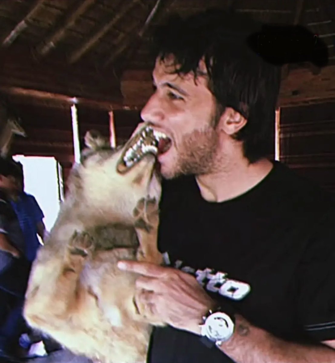 Mesh💚. tweet media