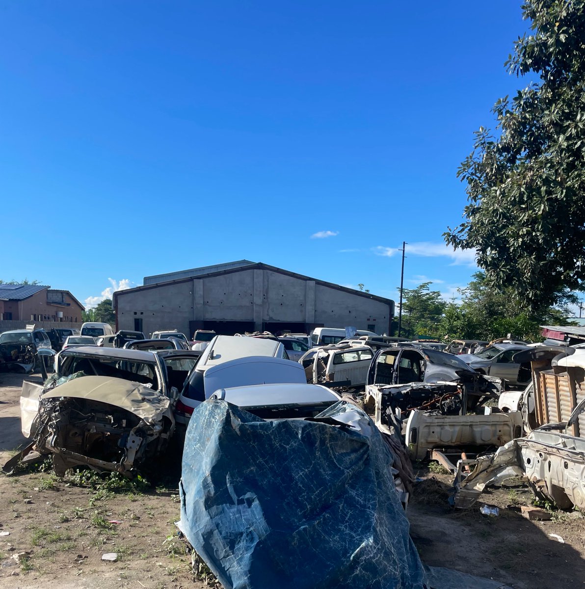 Cinnamon tweet media