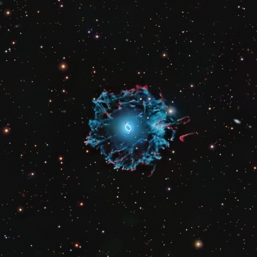 Jordi Gallego tweet media