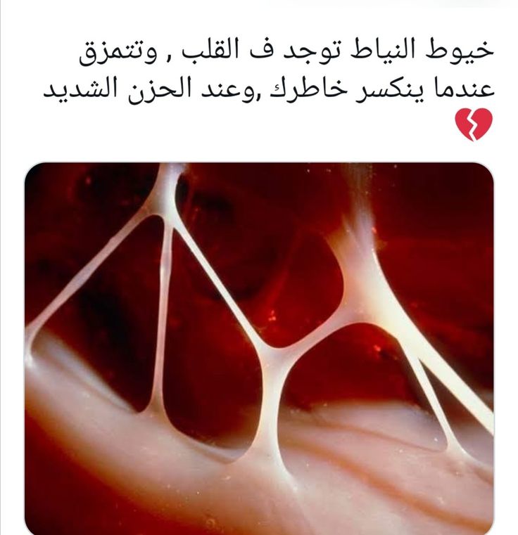 SolimanAsm80557's tweet photo. السلام عليكم
تم الرحيل ومغادره للسفر بسم رب البدايات نبدأ بسمك اللهم نتحرك علي بركه الله ومشيئته الحمد لله على كل حال في الدنيا والآخرة خير متاع https://t.co/bi7Q8VRsi0