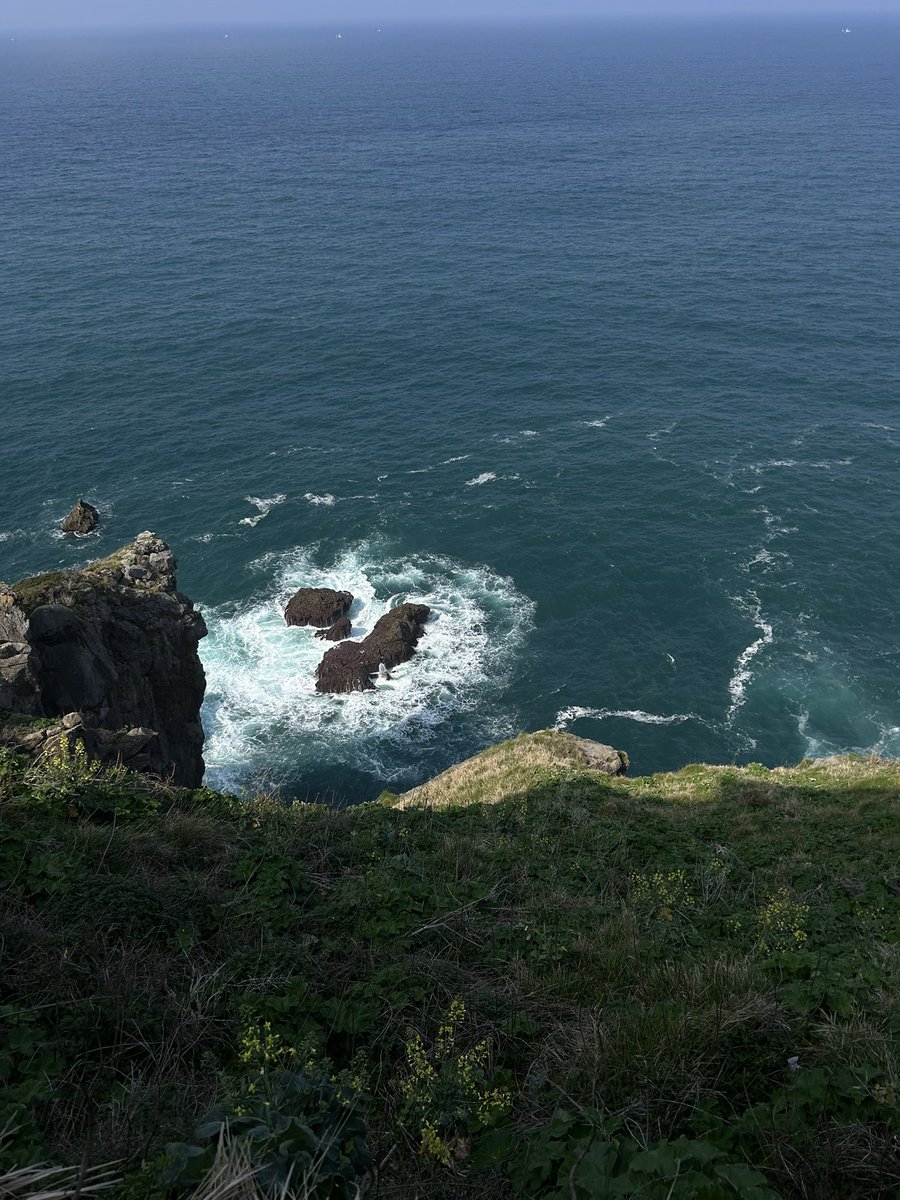 даша пишет 🎲 tweet media