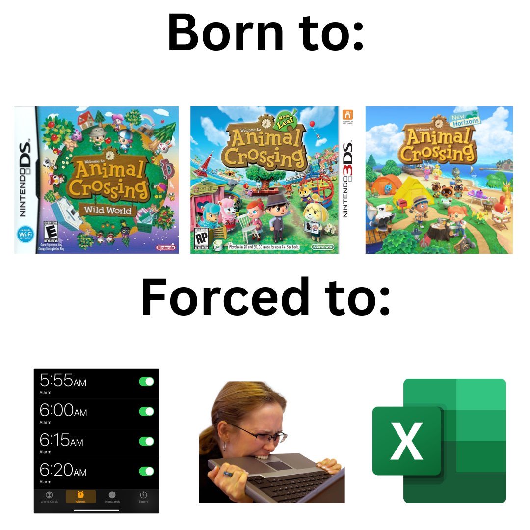 Canelita tweet media