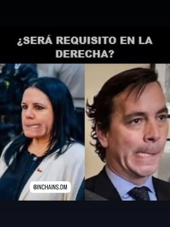 Eli Mora tweet media