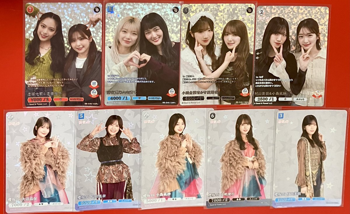 ひめねこ tweet media