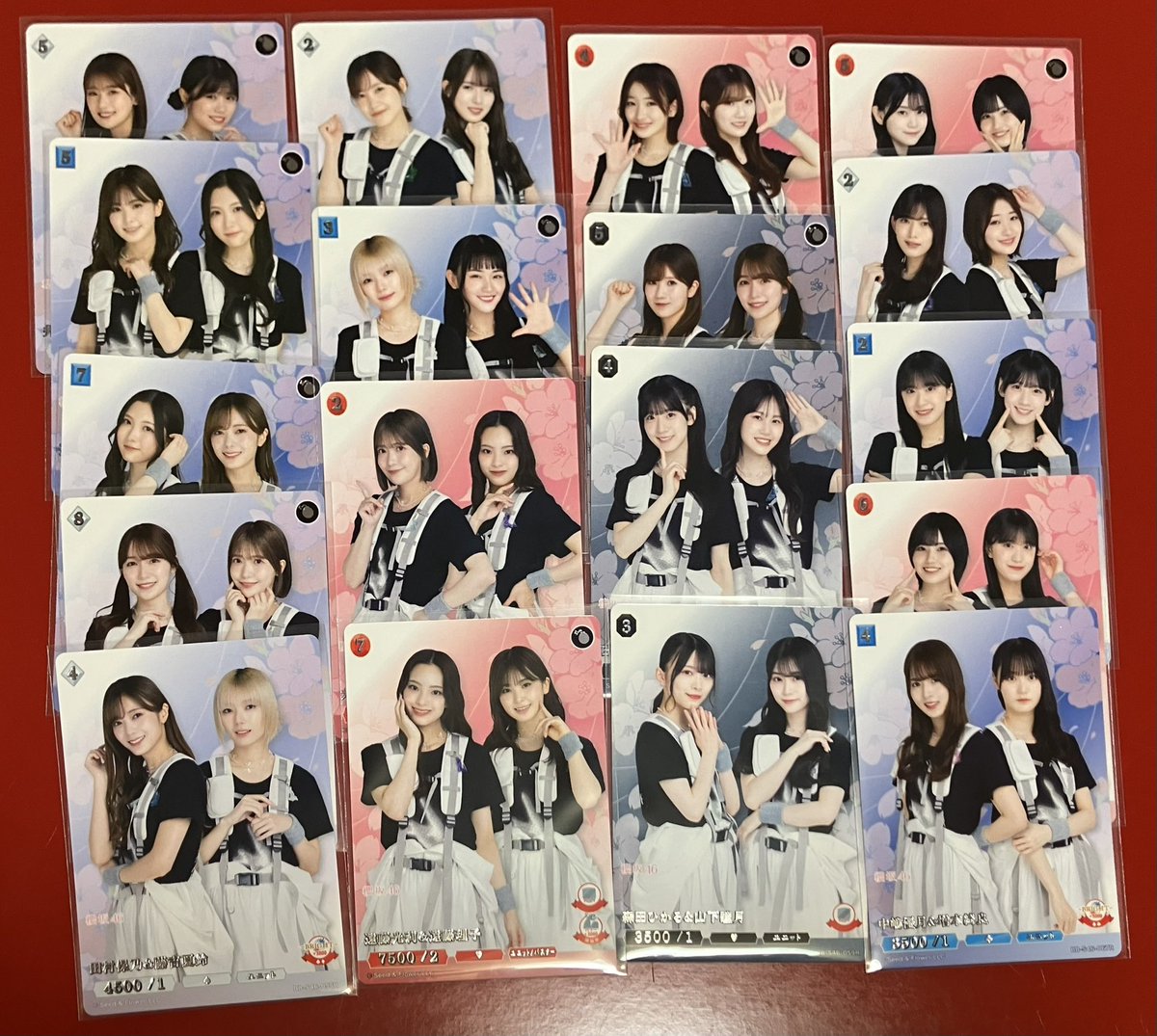 ひめねこ tweet media