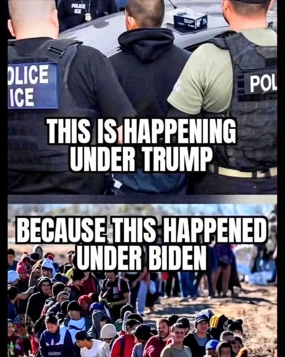 Proud Elephant 🇺🇸🦅 tweet media