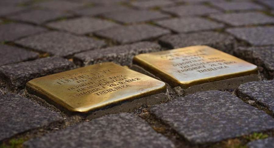 Scheveningen Daily tweet media