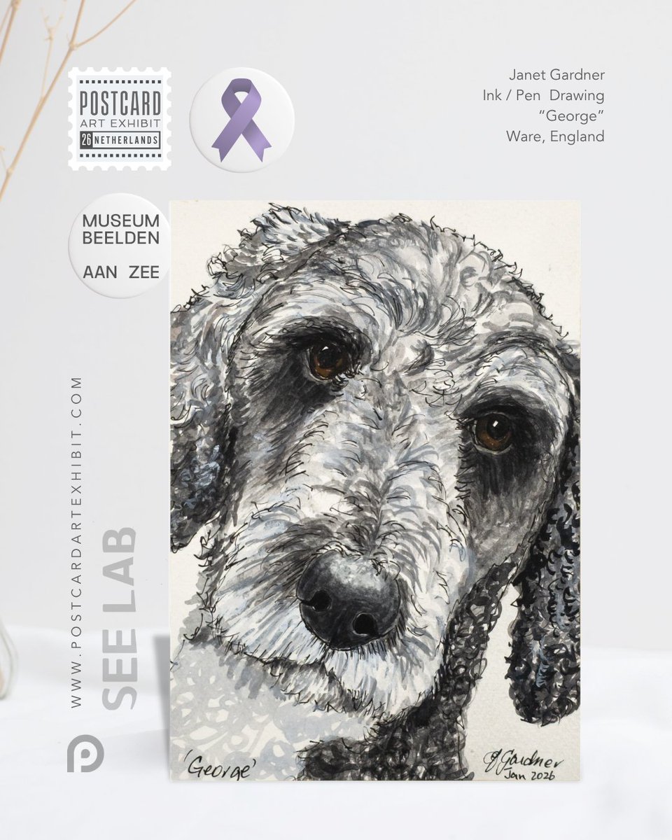 POSTCARD ART EXHIBIT - Art for a Cause 🌏 🎨 tweet media