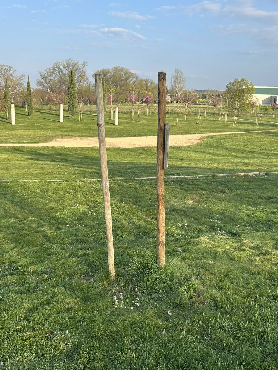 Bosque de la Danza tweet media