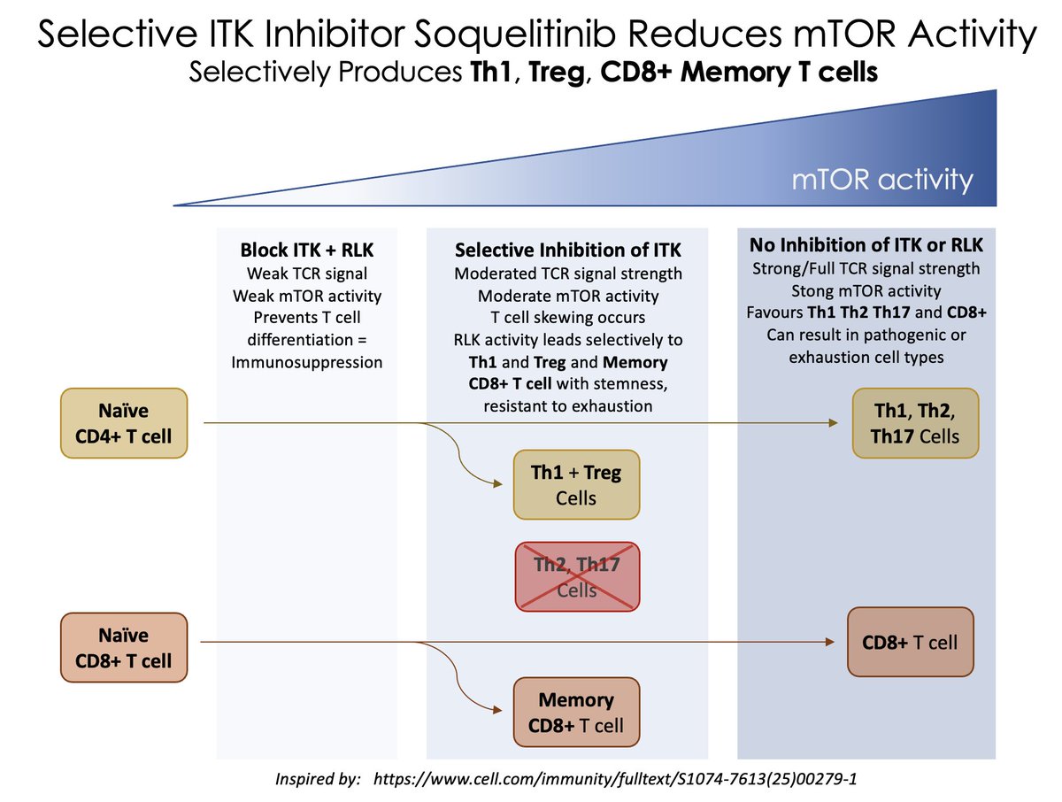In Honour Of Thomas W Phelps tweet media