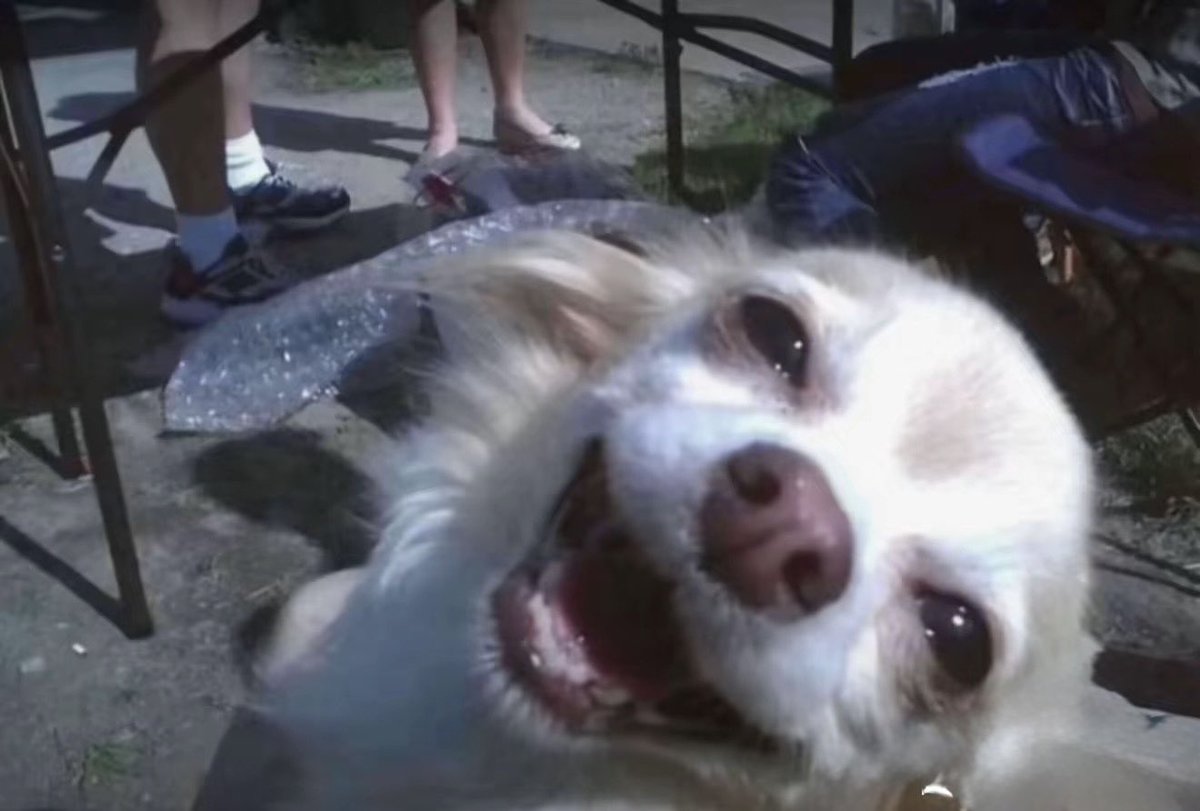 ‎‎ ‎ ‎‎‎‎ ‎‎‎ ‎‎ ‎ʰᵉᵃʳᵗ ᶠᵘˡˡ ᵒᶠ 𝑫𝑰𝑨𝑴𝑶𝑵𝑫𝑺𑁤 tweet media