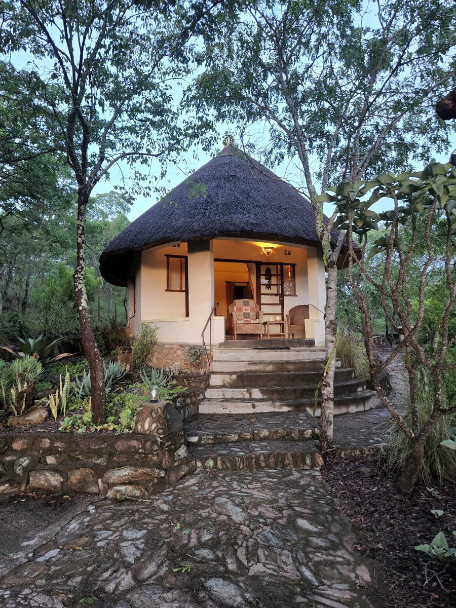 Musangano Lodge tweet media