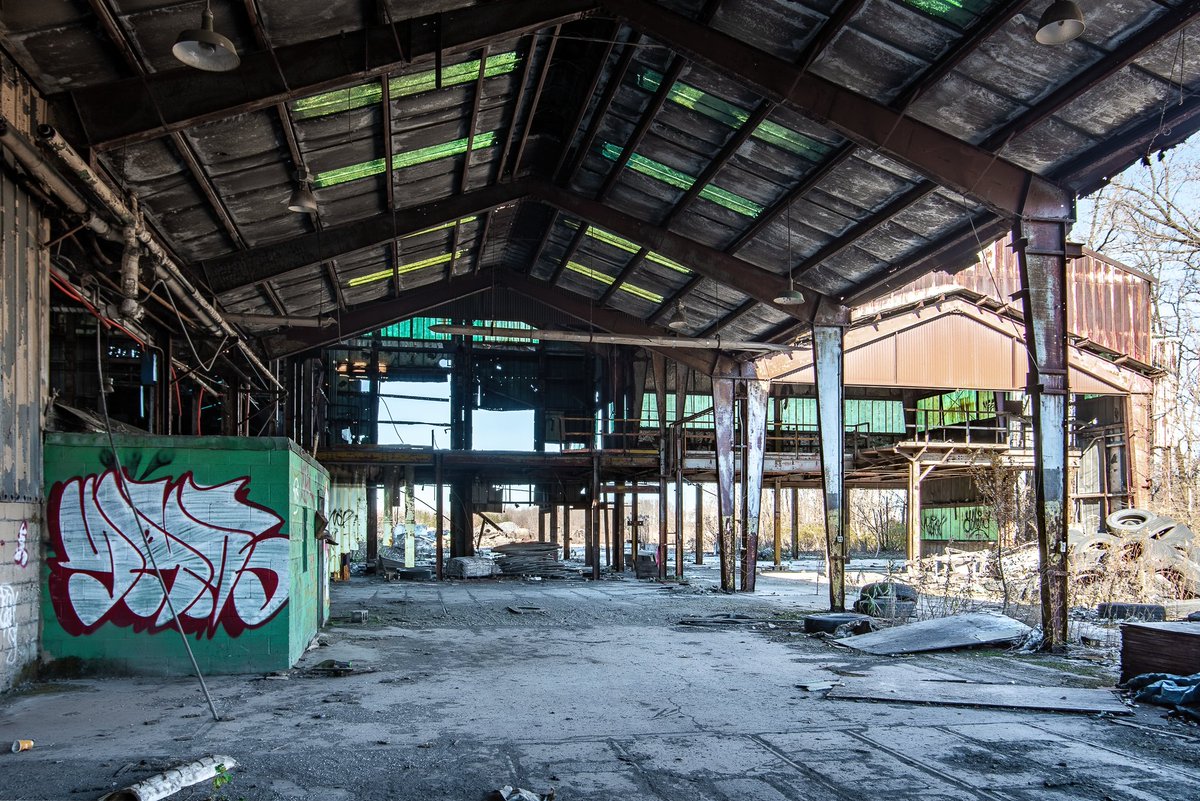 Mr. P. Explores tweet media