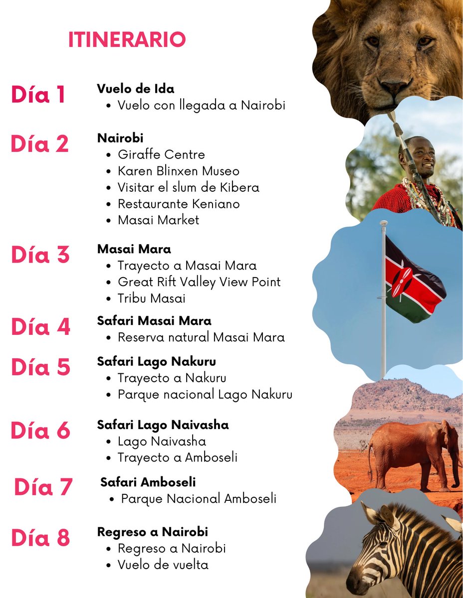 Robert_RFF's tweet photo. Safari en KENIA 🇰🇪: 
UN PAÍS CON SAFARIS DE PELÍCULA.🦁

¡Solo 6 plazas disponibles para esta increíble aventura en África! ✈️☀️

El próximo 31/05/2026 abriremos las puertas de Kenia de par en par 🌍✈️

¡Únete a la expedición y explora los animales en su hábitat! 🦏 https://t.co/rDLCGPqCg2