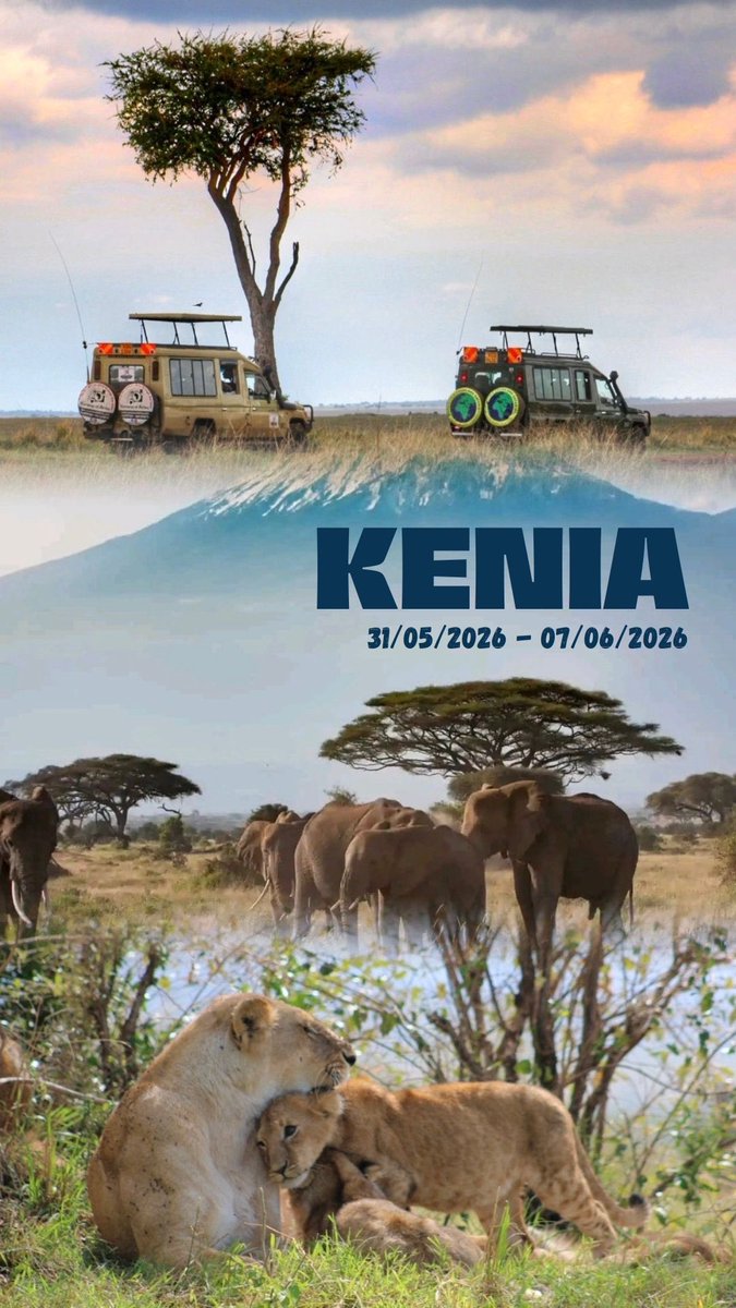 Robert_RFF's tweet photo. Safari en KENIA 🇰🇪: 
UN PAÍS CON SAFARIS DE PELÍCULA.🦁

¡Solo 6 plazas disponibles para esta increíble aventura en África! ✈️☀️

El próximo 31/05/2026 abriremos las puertas de Kenia de par en par 🌍✈️

¡Únete a la expedición y explora los animales en su hábitat! 🦏 https://t.co/rDLCGPqCg2