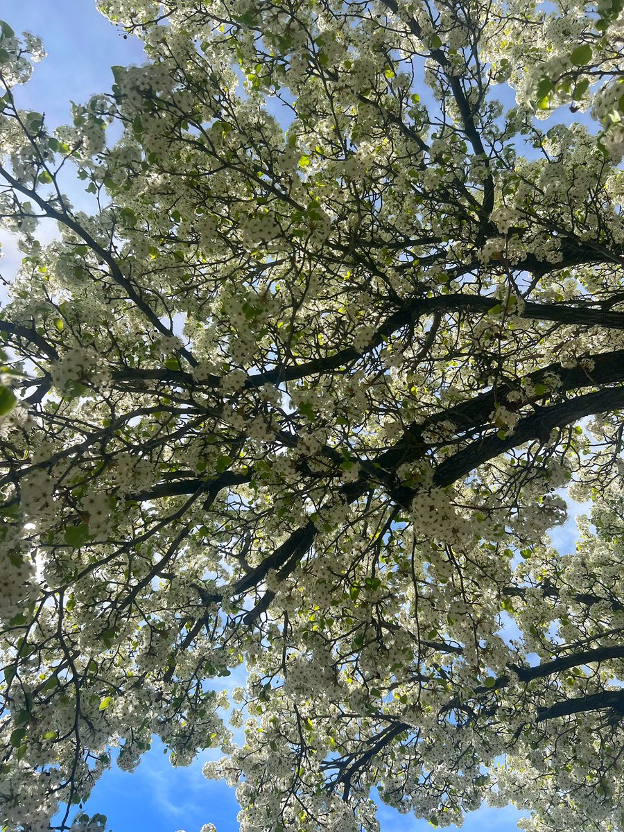 GhosterToastersMom tweet media