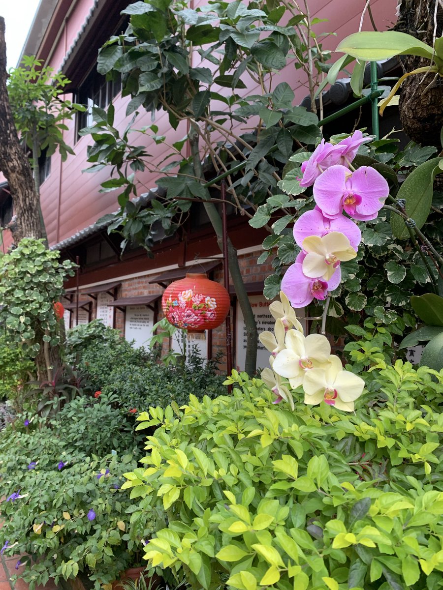 st4rpollux's tweet photo. Meinong Folk Village, Taiwan 🎏, January 2025. https://t.co/DZ0BA83Goo