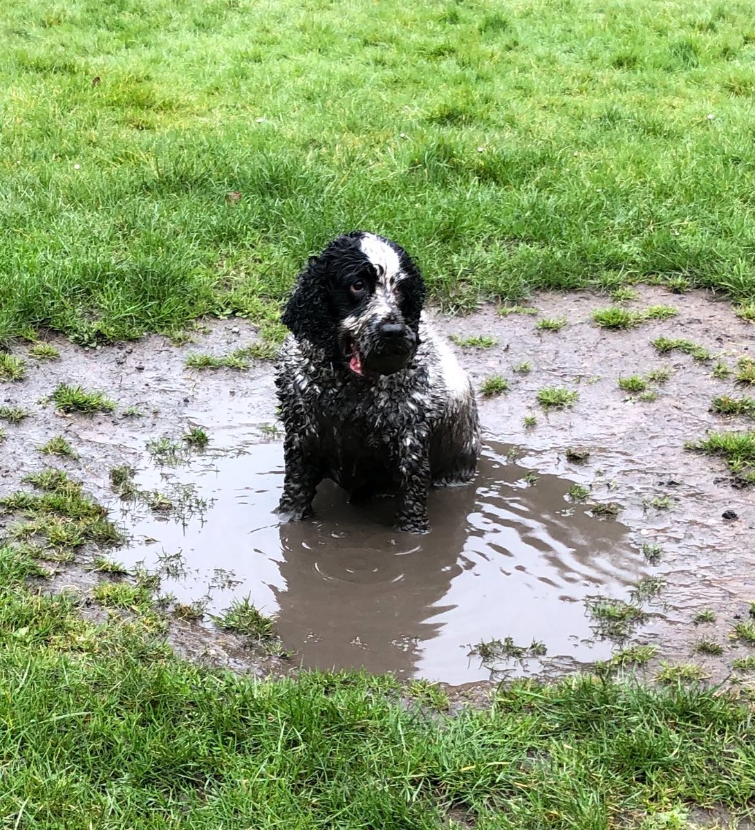 Lee Moore tweet media