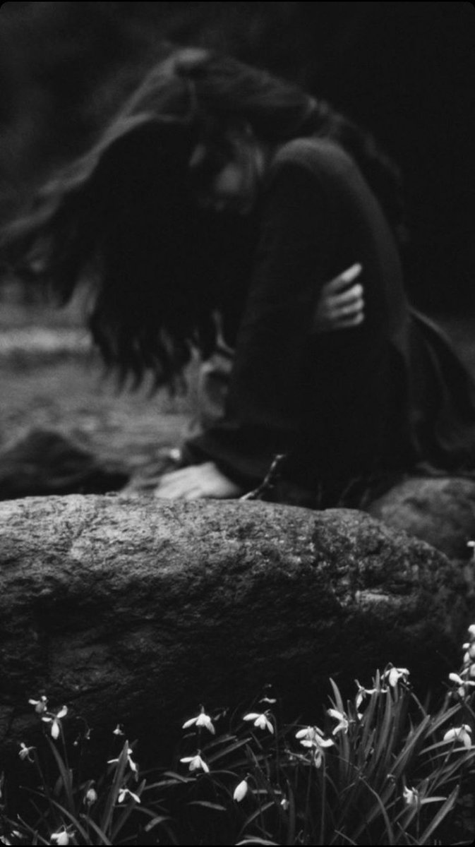 Vannerood tweet media