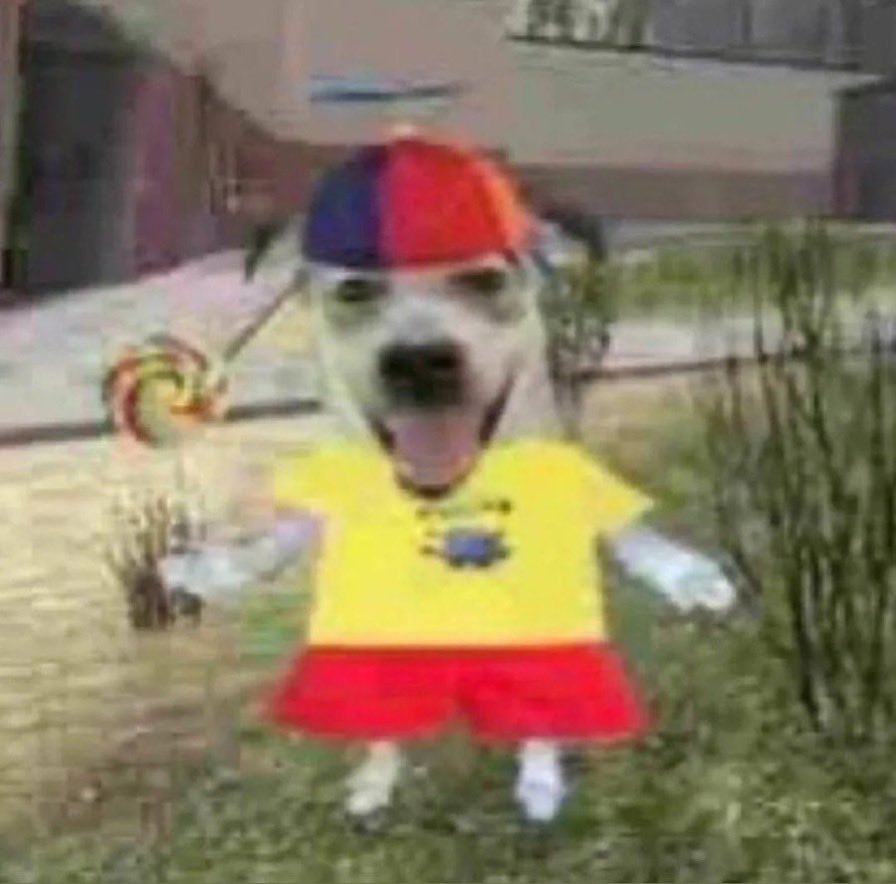 Firastopher 🇵🇸 tweet media