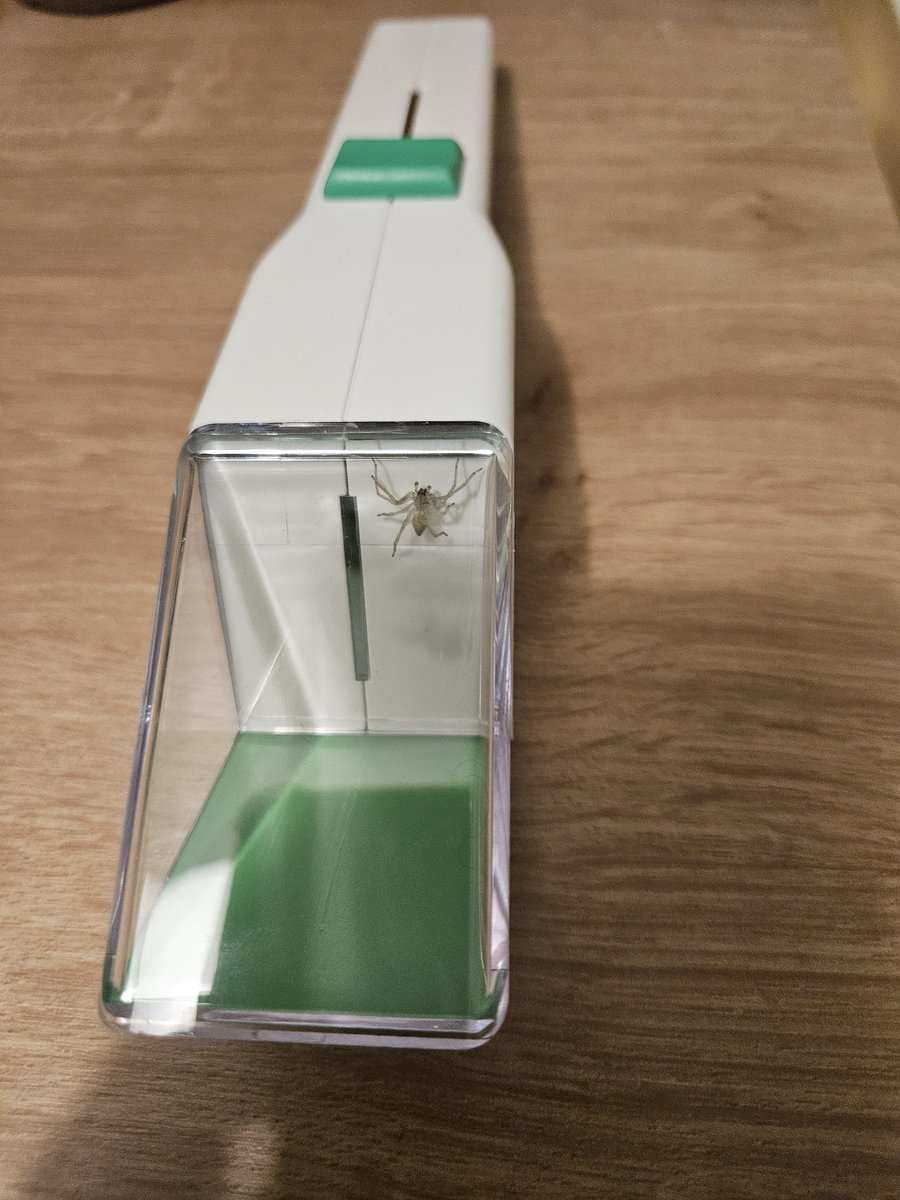 Redtrish tweet media