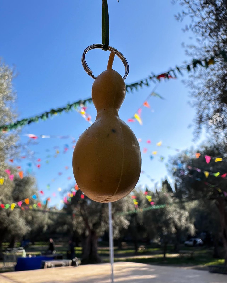 stan.palomba.fr tweet media