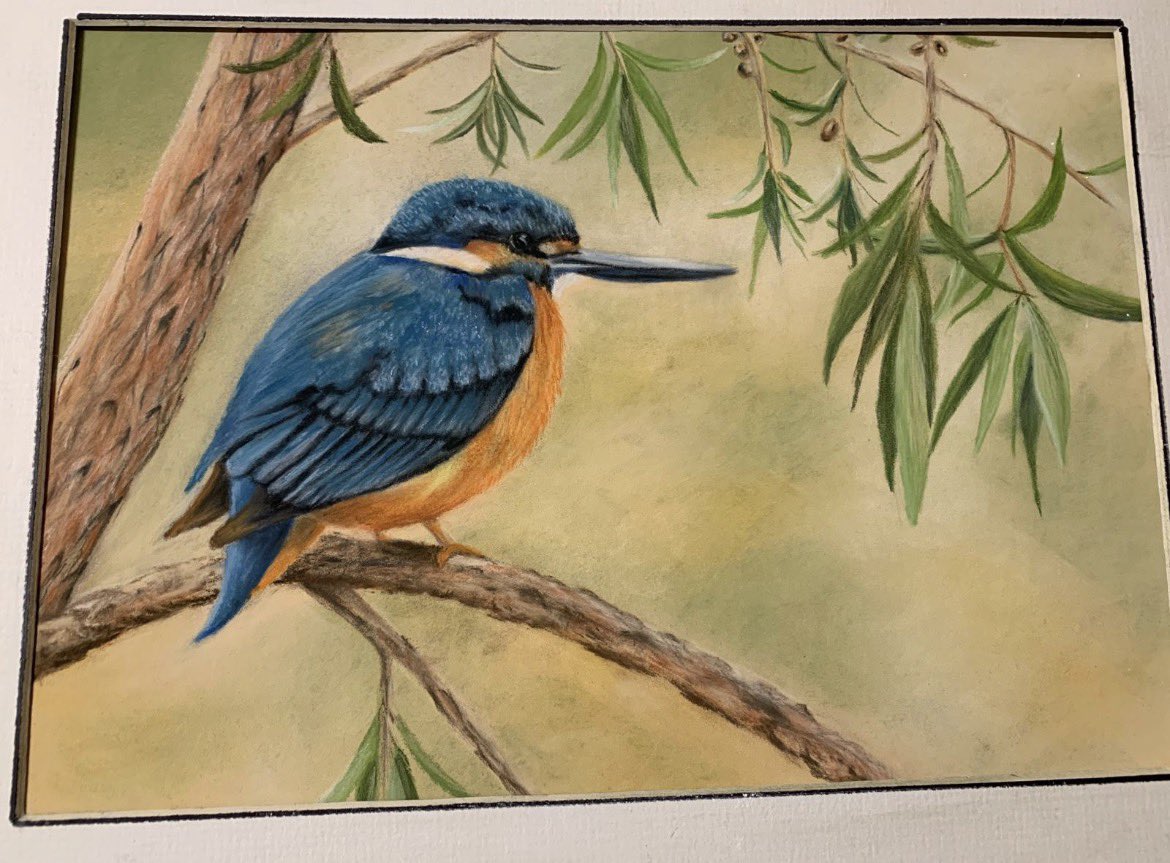 sheilaMol tweet media