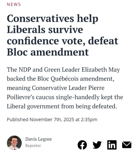 😎 Canada First 🇨🇦 tweet media