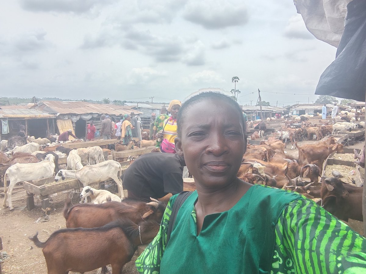 Tomi of ROYAL LINE FOODS tweet media